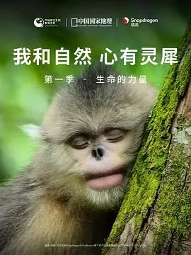 《我和自然 心有灵犀》第一季 - 生命的力量：看哭我了！这才是真正的纪录片，比《人类清除计划》还震撼！