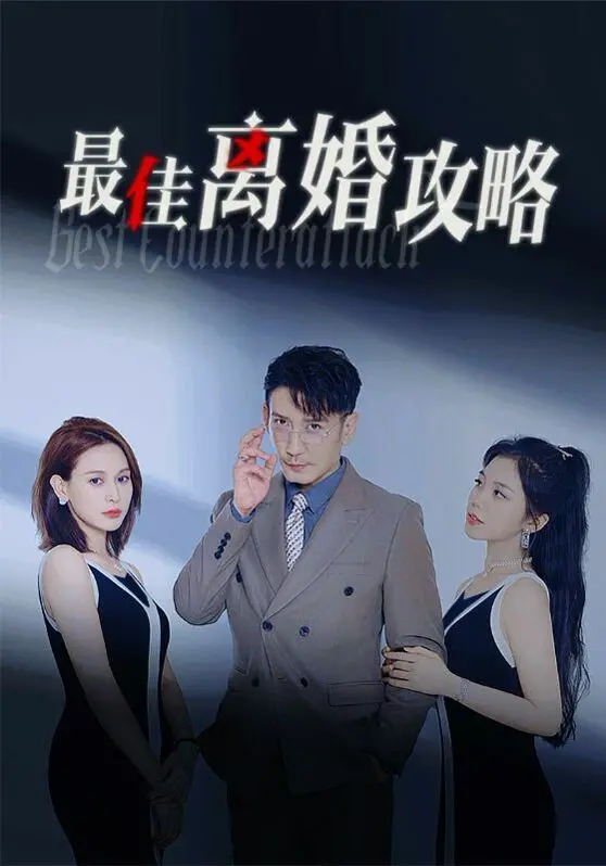 《最佳离婚攻略》：别被名字骗了！这才是真正的“生命成长”教科书！