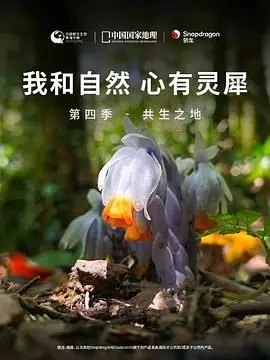 《我和自然 心有灵犀》第四季 - 共生之地：不是吧，纪录片也能拍出《爱情》的既视感？